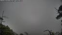 ./images/calvert/fitz-hugh-hecate/20250516/fitz-hugh-hecate20250516_063510M.jpg