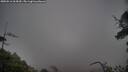 ./images/calvert/fitz-hugh-hecate/20250516/fitz-hugh-hecate20250516_064510M.jpg
