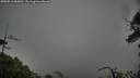 ./images/calvert/fitz-hugh-hecate/20250516/fitz-hugh-hecate20250516_065010M.jpg