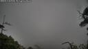 ./images/calvert/fitz-hugh-hecate/20250516/fitz-hugh-hecate20250516_065510M.jpg