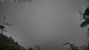 ./images/calvert/fitz-hugh-hecate/20250516/fitz-hugh-hecate20250516_070010M.jpg