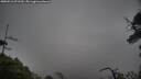 ./images/calvert/fitz-hugh-hecate/20250516/fitz-hugh-hecate20250516_071510M.jpg