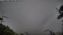 ./images/calvert/fitz-hugh-hecate/20250516/fitz-hugh-hecate20250516_073509M.jpg