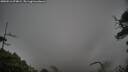 ./images/calvert/fitz-hugh-hecate/20250516/fitz-hugh-hecate20250516_074009M.jpg
