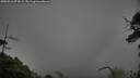 ./images/calvert/fitz-hugh-hecate/20250516/fitz-hugh-hecate20250516_074509M.jpg