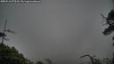 ./images/calvert/fitz-hugh-hecate/20250516/fitz-hugh-hecate20250516_075509M.jpg