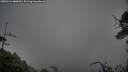 ./images/calvert/fitz-hugh-hecate/20250516/fitz-hugh-hecate20250516_080010M.jpg