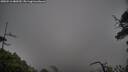 ./images/calvert/fitz-hugh-hecate/20250516/fitz-hugh-hecate20250516_080510M.jpg