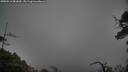./images/calvert/fitz-hugh-hecate/20250516/fitz-hugh-hecate20250516_081010M.jpg