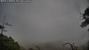 ./images/calvert/fitz-hugh-hecate/20250516/fitz-hugh-hecate20250516_083010M.jpg