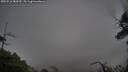 ./images/calvert/fitz-hugh-hecate/20250516/fitz-hugh-hecate20250516_083509M.jpg