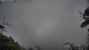 ./images/calvert/fitz-hugh-hecate/20250516/fitz-hugh-hecate20250516_084509M.jpg