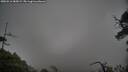 ./images/calvert/fitz-hugh-hecate/20250516/fitz-hugh-hecate20250516_085009M.jpg