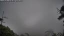 ./images/calvert/fitz-hugh-hecate/20250516/fitz-hugh-hecate20250516_085510M.jpg