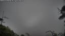 ./images/calvert/fitz-hugh-hecate/20250516/fitz-hugh-hecate20250516_090510M.jpg