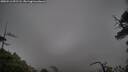 ./images/calvert/fitz-hugh-hecate/20250516/fitz-hugh-hecate20250516_091506M.jpg