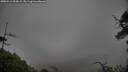 ./images/calvert/fitz-hugh-hecate/20250516/fitz-hugh-hecate20250516_093009M.jpg