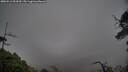 ./images/calvert/fitz-hugh-hecate/20250516/fitz-hugh-hecate20250516_093510M.jpg