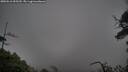 ./images/calvert/fitz-hugh-hecate/20250516/fitz-hugh-hecate20250516_095510M.jpg