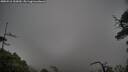 ./images/calvert/fitz-hugh-hecate/20250516/fitz-hugh-hecate20250516_100010M.jpg