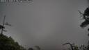 ./images/calvert/fitz-hugh-hecate/20250516/fitz-hugh-hecate20250516_100509M.jpg