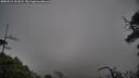 ./images/calvert/fitz-hugh-hecate/20250516/fitz-hugh-hecate20250516_101009M.jpg