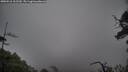 ./images/calvert/fitz-hugh-hecate/20250516/fitz-hugh-hecate20250516_102510M.jpg