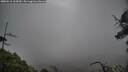 ./images/calvert/fitz-hugh-hecate/20250516/fitz-hugh-hecate20250516_103010M.jpg