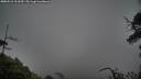 ./images/calvert/fitz-hugh-hecate/20250516/fitz-hugh-hecate20250516_103510M.jpg