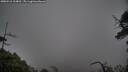 ./images/calvert/fitz-hugh-hecate/20250516/fitz-hugh-hecate20250516_104010M.jpg