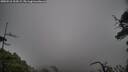 ./images/calvert/fitz-hugh-hecate/20250516/fitz-hugh-hecate20250516_104509M.jpg
