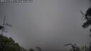 ./images/calvert/fitz-hugh-hecate/20250516/fitz-hugh-hecate20250516_105009M.jpg