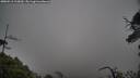 ./images/calvert/fitz-hugh-hecate/20250516/fitz-hugh-hecate20250516_110010M.jpg