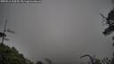./images/calvert/fitz-hugh-hecate/20250516/fitz-hugh-hecate20250516_110509M.jpg