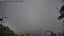 ./images/calvert/fitz-hugh-hecate/20250516/fitz-hugh-hecate20250516_111510M.jpg