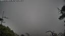 ./images/calvert/fitz-hugh-hecate/20250516/fitz-hugh-hecate20250516_112009M.jpg