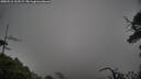 ./images/calvert/fitz-hugh-hecate/20250516/fitz-hugh-hecate20250516_112509M.jpg