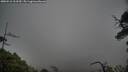./images/calvert/fitz-hugh-hecate/20250516/fitz-hugh-hecate20250516_113510M.jpg