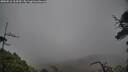./images/calvert/fitz-hugh-hecate/20250516/fitz-hugh-hecate20250516_114510M.jpg
