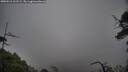 ./images/calvert/fitz-hugh-hecate/20250516/fitz-hugh-hecate20250516_121509M.jpg