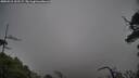 ./images/calvert/fitz-hugh-hecate/20250516/fitz-hugh-hecate20250516_122507M.jpg