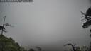 ./images/calvert/fitz-hugh-hecate/20250516/fitz-hugh-hecate20250516_123509M.jpg