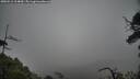 ./images/calvert/fitz-hugh-hecate/20250516/fitz-hugh-hecate20250516_124010M.jpg