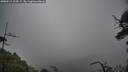 ./images/calvert/fitz-hugh-hecate/20250516/fitz-hugh-hecate20250516_124509M.jpg