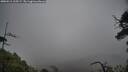 ./images/calvert/fitz-hugh-hecate/20250516/fitz-hugh-hecate20250516_125508M.jpg