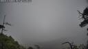 ./images/calvert/fitz-hugh-hecate/20250516/fitz-hugh-hecate20250516_130010M.jpg
