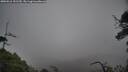 ./images/calvert/fitz-hugh-hecate/20250516/fitz-hugh-hecate20250516_131510M.jpg
