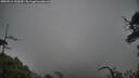 ./images/calvert/fitz-hugh-hecate/20250516/fitz-hugh-hecate20250516_132009M.jpg