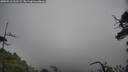 ./images/calvert/fitz-hugh-hecate/20250516/fitz-hugh-hecate20250516_132509M.jpg