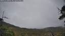 ./images/calvert/fitz-hugh-hecate/20250516/fitz-hugh-hecate20250516_134510M.jpg